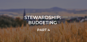 Stewardship Budgeting 3