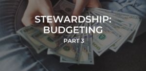 Stewardship Budgeting 4