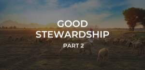 Good Stewardship